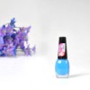Wholesale Shining Nail Paint Polish