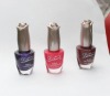 Wholesale Fashion French Nail Art Polish
