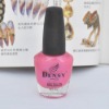 Wholesale OEM Trends Nail Paint Polish