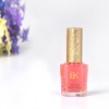 Wholesale Beautiful Cap Art Nail Care Polish