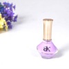 Wholesale Sexy Color Cosmetic Nail Art Polish
