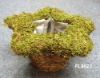 Wholesale Rattan Christmas Flower Pot