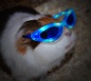 Wholesale Novelty Sunglasses