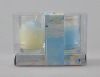 Wholesale christmas craft candle