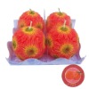 Wholesale craft christmas candle gift