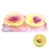 Wholesale christmas candle craft gift