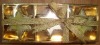 Wholesale newest Christmas Candles