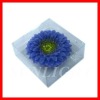 Wholesale Sunlight Flower Candles