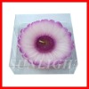 Wholesale New Decorative Candles