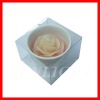 Wholesale Sunlight Flower Candles