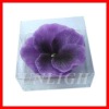 Wholesale Sunlight Flower Candles
