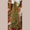 Wholesale Christmas tree
