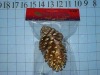 Wholesale christmas natural pinecone ornament