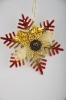 Wholesale Plastic christmans ornament