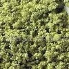 Wholesale oolong tea powder