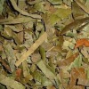 Wholesale loquat leaf slice/cut/powder/PE