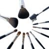 Wholesale EVAL professional cosmetic brush set