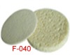 Wholesale PVA sponge