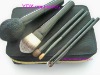 Wholesale 6 pieces professional makeup brush set