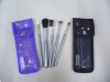Wholesale facial brush