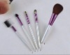 Wholesale 5-pc brush set