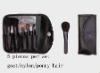 Wholesale 5 pieces professional cosmetic brush set
