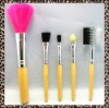Wholesale 5pcs cosmetic brush set
