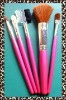 Wholesale 5pcs cosmetic brush set