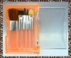 Wholesale 5pcs cosmetic brush set