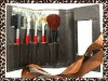 Wholesale 5pcs cosmetic brush set