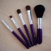 Wholesale 5pcs travel make up brush kit