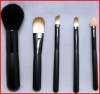 Wholesale 5pcs fashionable cosmetic brush set,Various Handle Colors and Hairs are Available