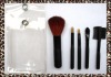 Wholesale 5pcs cosmetic brush set