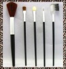 Wholesale 5pcs cosmetic brush set