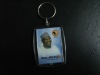 Wholesale plastic photograph key card for hotel
