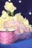 Wholesale Organza Ribbon (organza)
