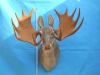 Wholesale reindeer head for home decoration