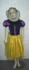 Wholesale children party dress bscc-0091
