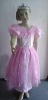 Wholesale 2011 children party dress bscc-0088