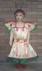 Wholesale 2011 children party dress bscc-0081
