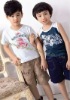 Wholesale Trade kids T-Shirts to Children's Clothes
