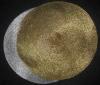 Wholesale gold placemat/table mat/place mat