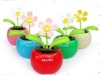 Wholesale Solar powered flower toy, solar dancing toys,solar gift product