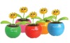 Wholesale flip flap flower,solar flower,fllip flap