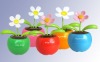 Wholesale solar powered flower