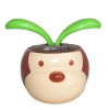Wholesale magic flower pot