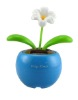Wholesale flip flap plant
