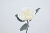 Wholesale artificial silk flower bombax RYHQ04