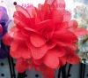 Wholesale 2011 Fashion Ladies' Silk Flower Headband With Stone