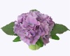 Wholesale silk flower